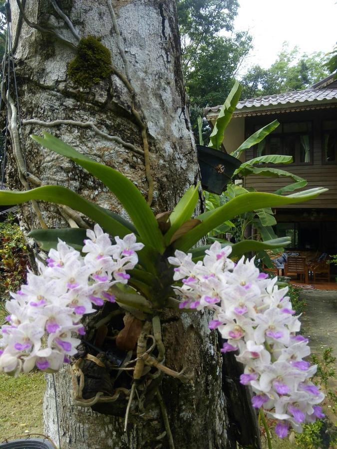 ホテル Koh Kood Little Hut Ko Kut エクステリア 写真