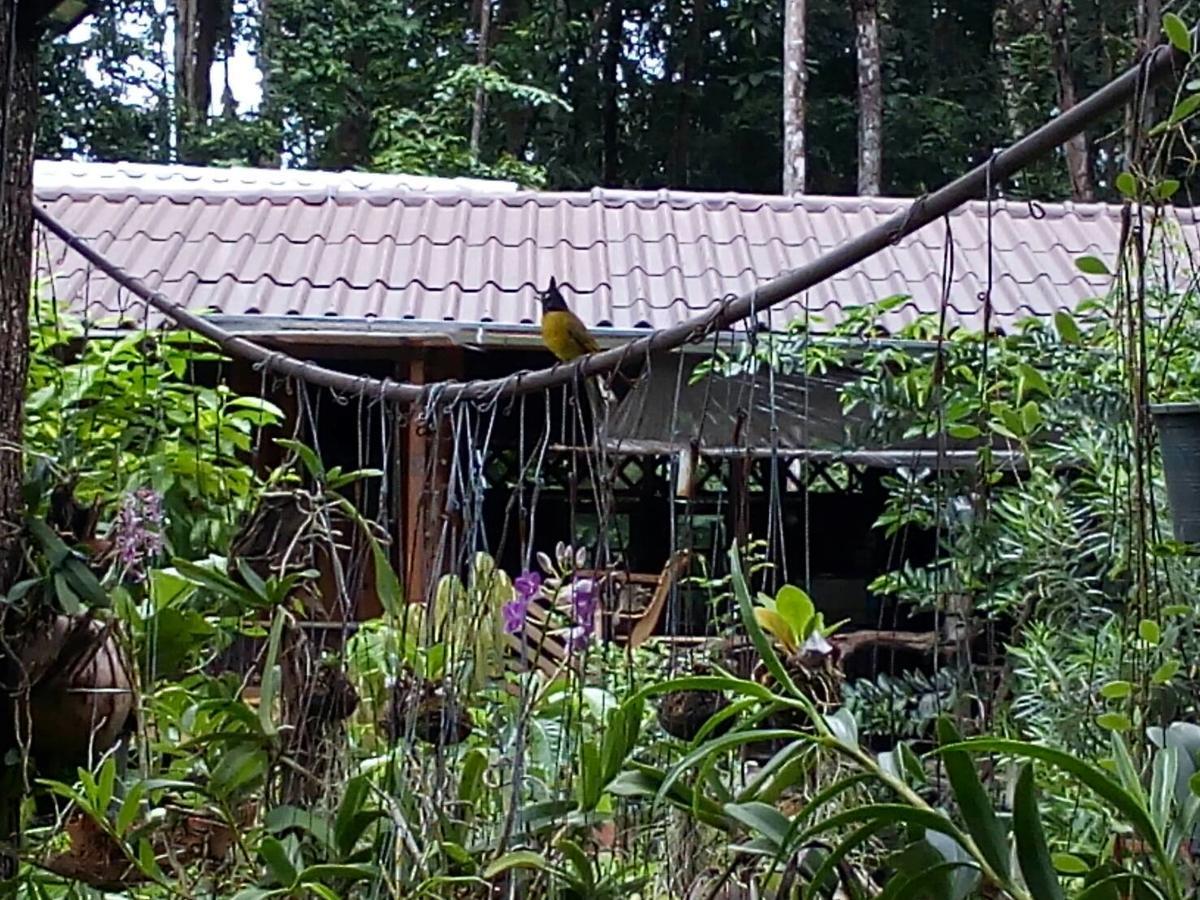 ホテル Koh Kood Little Hut Ko Kut エクステリア 写真
