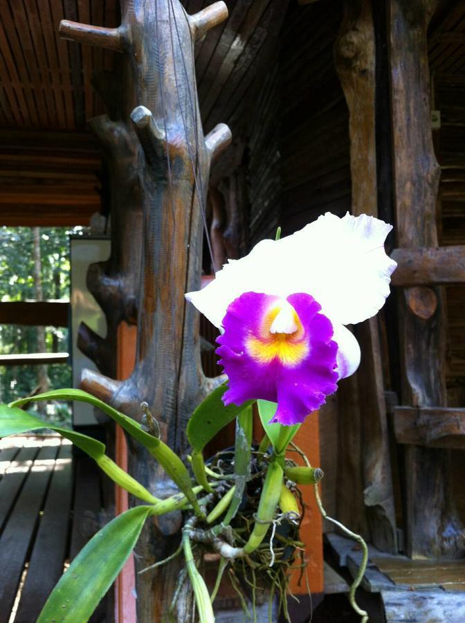 ホテル Koh Kood Little Hut Ko Kut エクステリア 写真