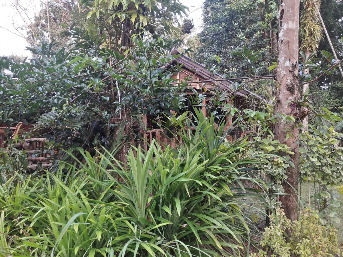 ホテル Koh Kood Little Hut Ko Kut エクステリア 写真