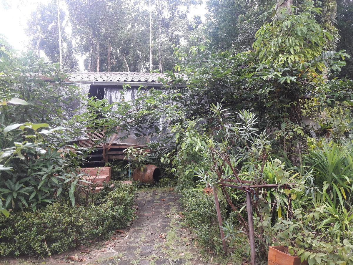 ホテル Koh Kood Little Hut Ko Kut エクステリア 写真