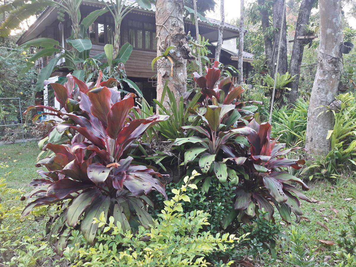 ホテル Koh Kood Little Hut Ko Kut エクステリア 写真