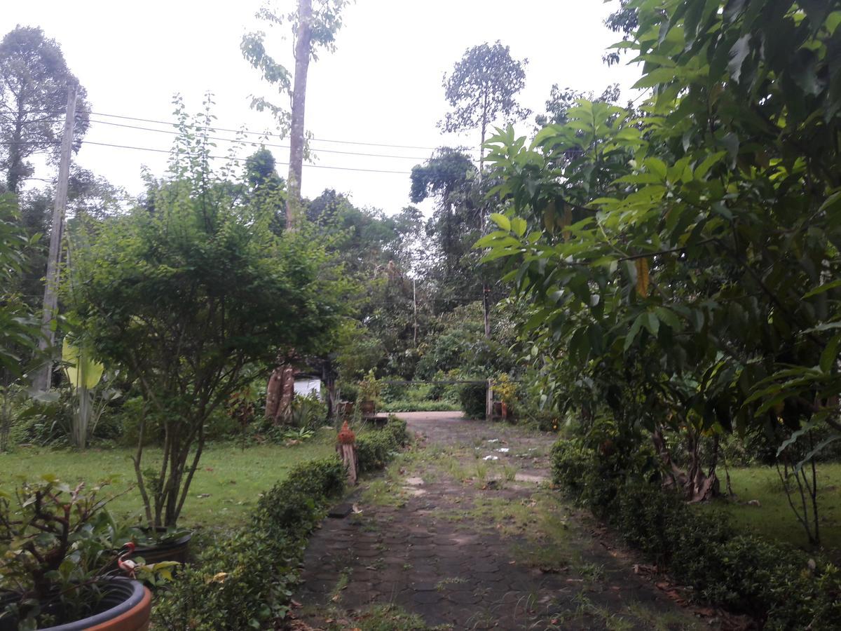 ホテル Koh Kood Little Hut Ko Kut エクステリア 写真