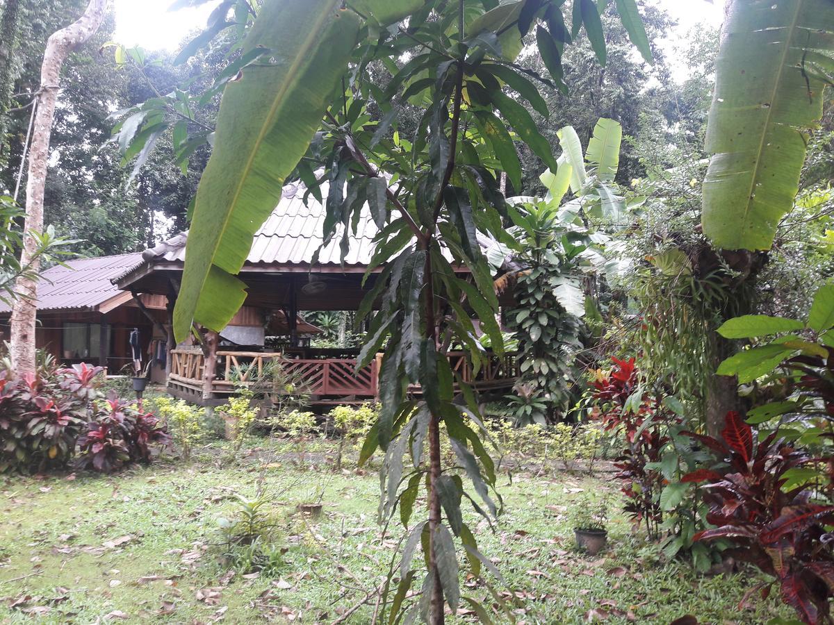 ホテル Koh Kood Little Hut Ko Kut エクステリア 写真
